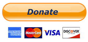 Paypal Donate Button 284 X 136 Winter Opera Saint Louis