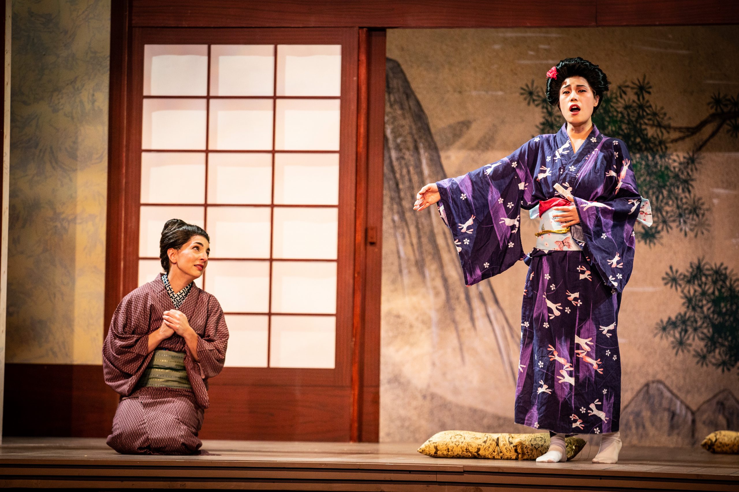 Winter Opera St Louis "Performances that warm the soul"